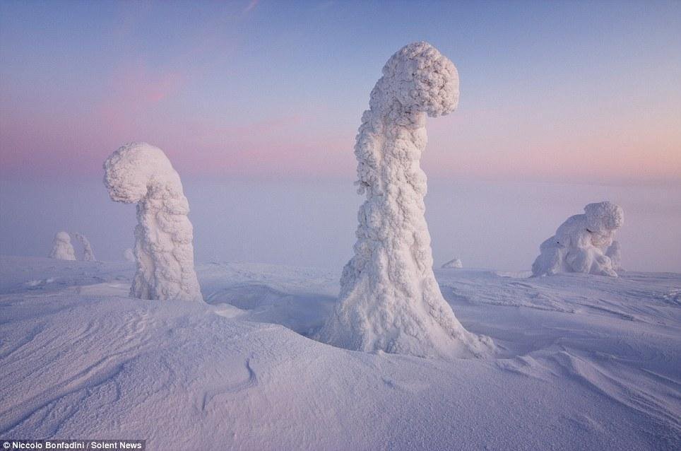 A 'Frozen' world: Amazing Icy Landscapes