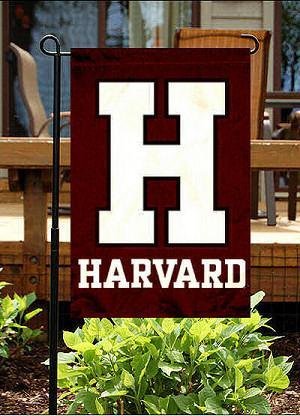 Harvard in Mexico City