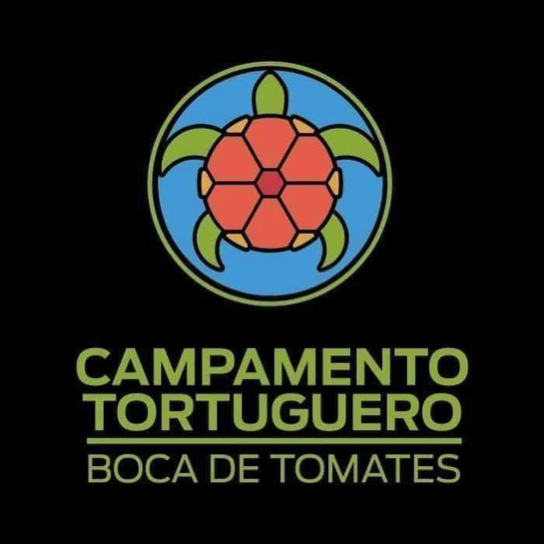 campamentotortugeroyeeehaww.png